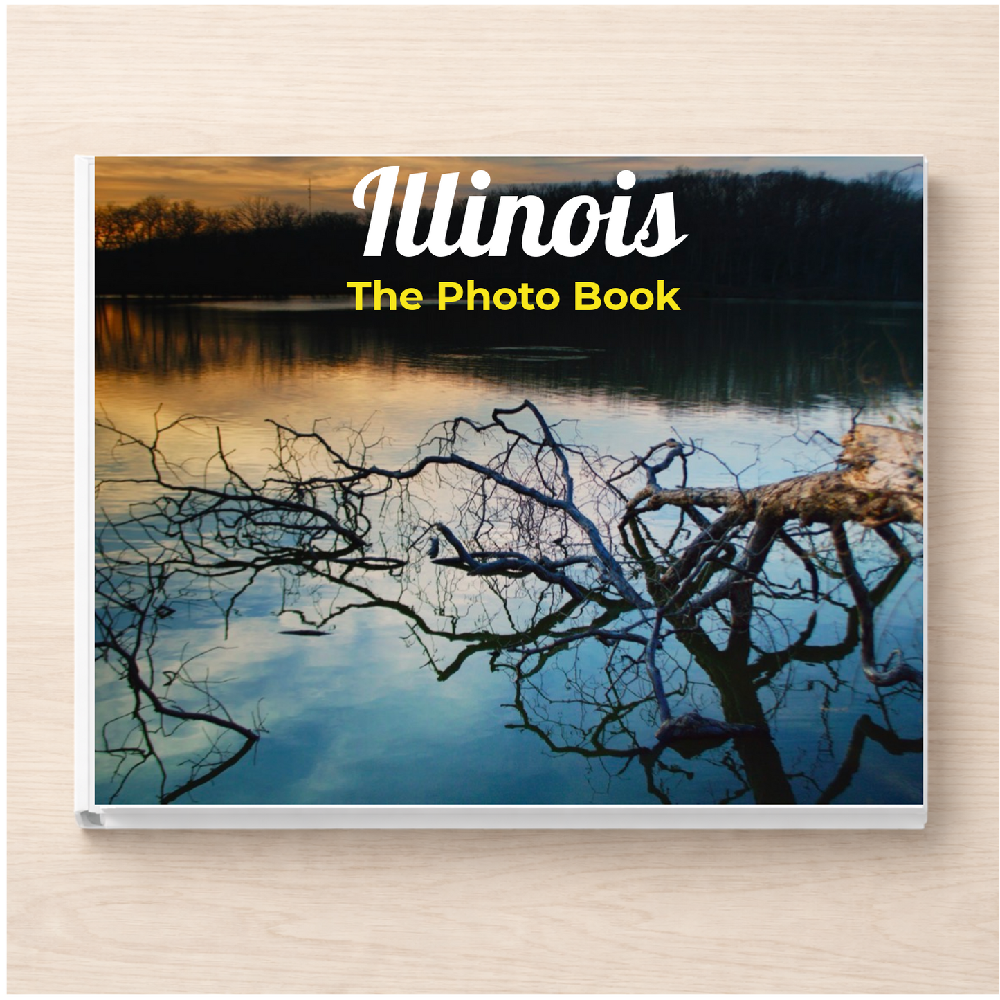 Illinois: The Photo Book