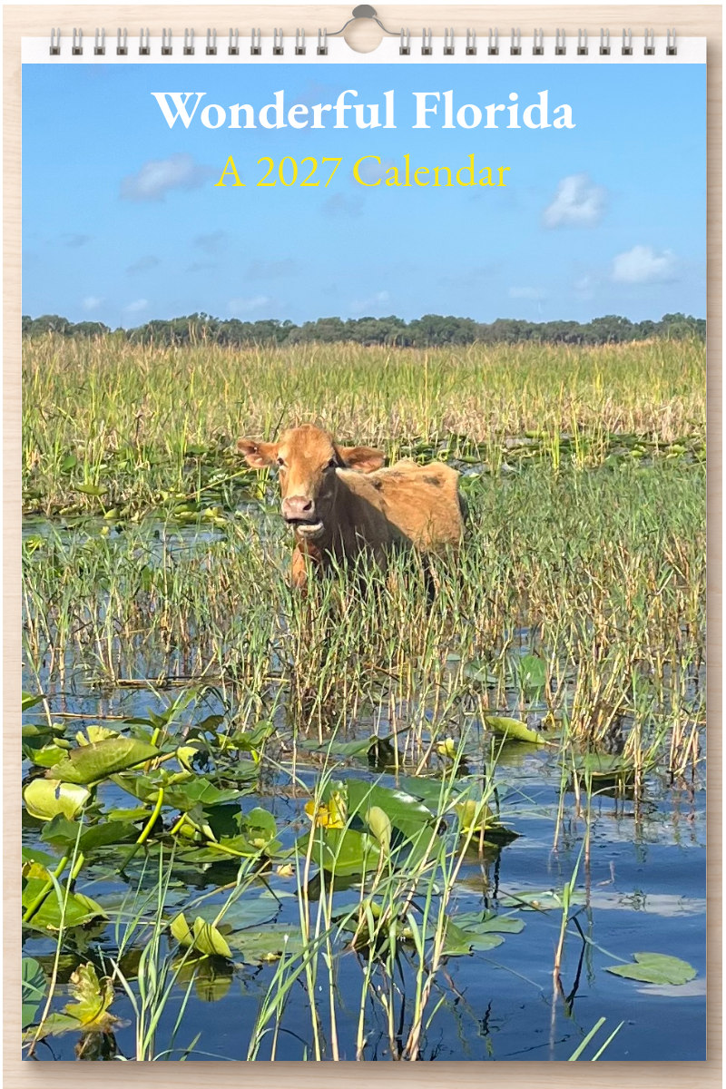 Wonderful Florida: A 2027 Calendar