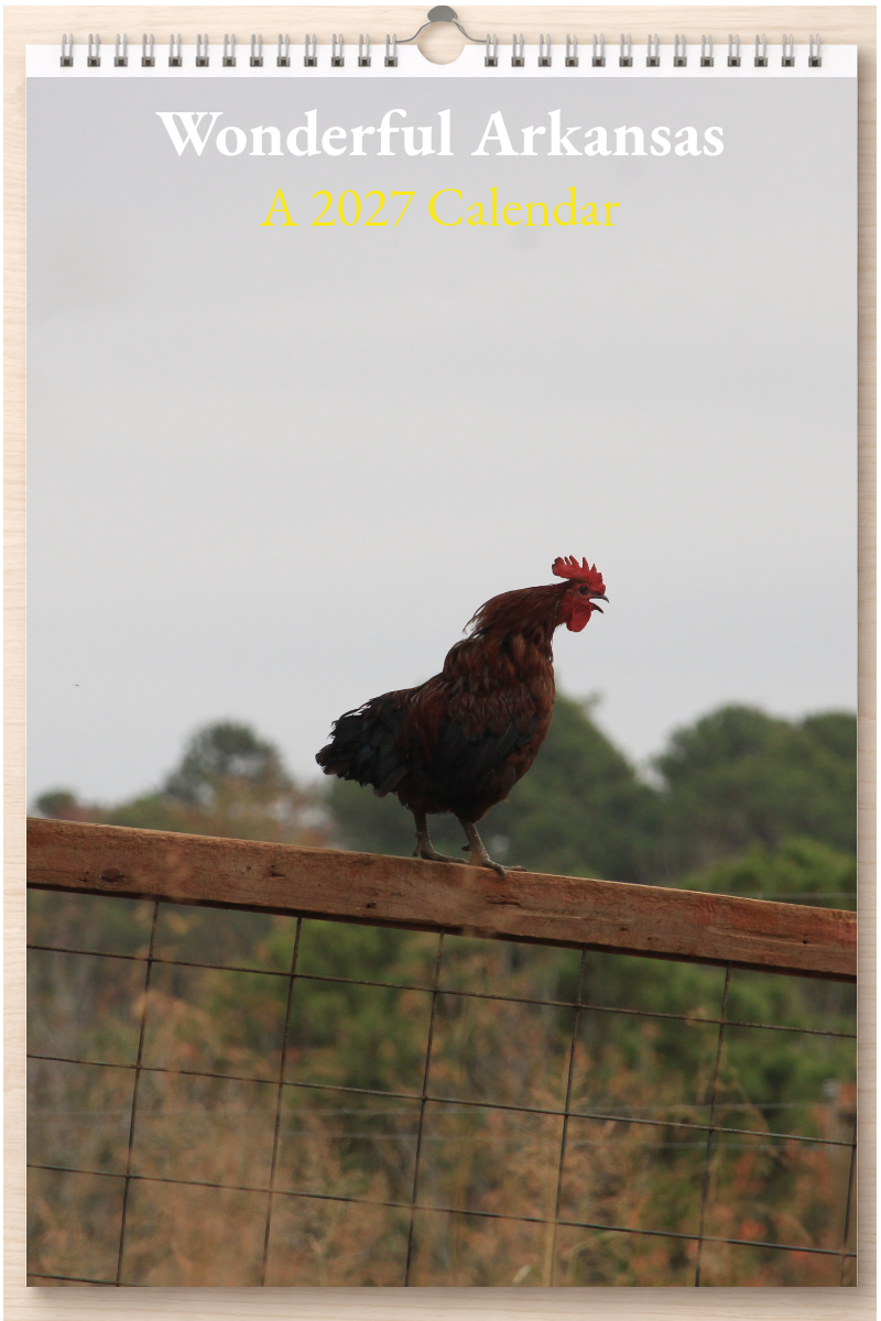 Wonderful Arkansas: A 2027 Calendar