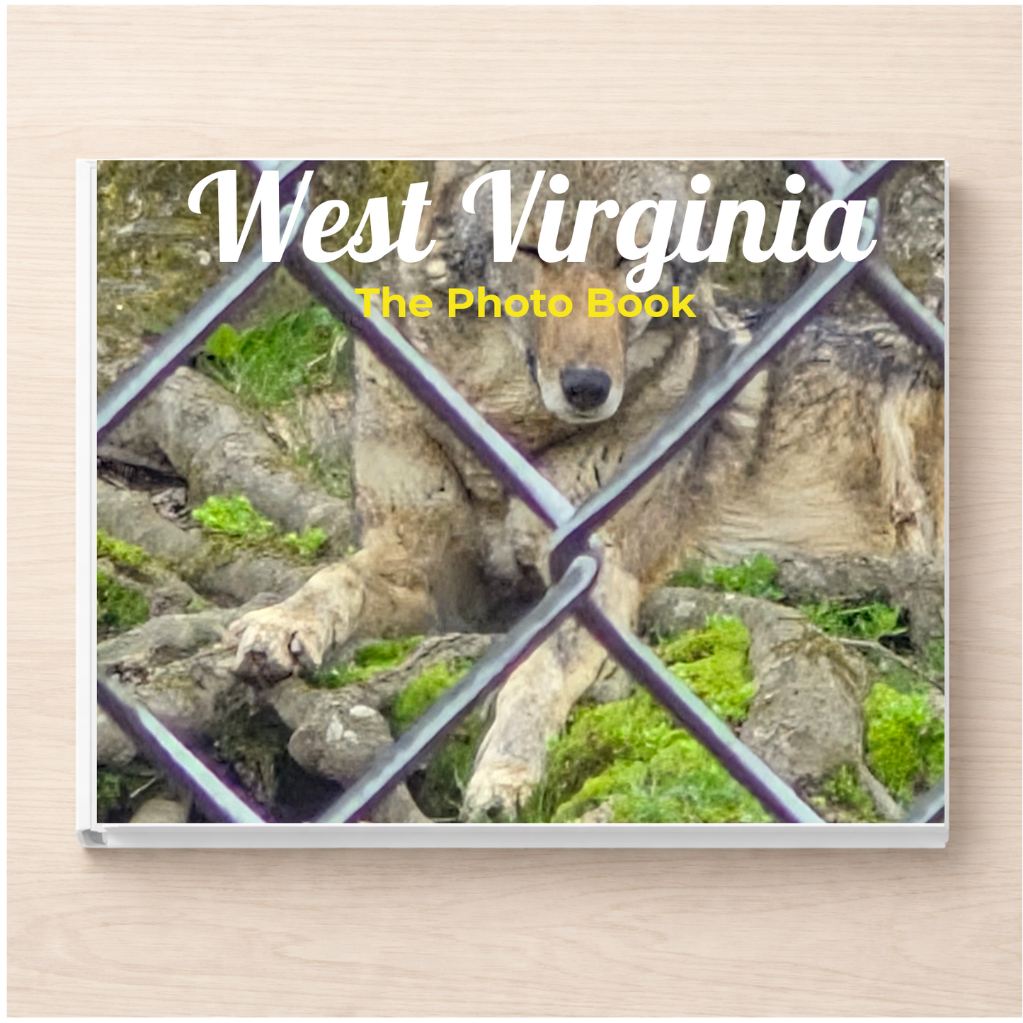 West Virginia: The Photo Book