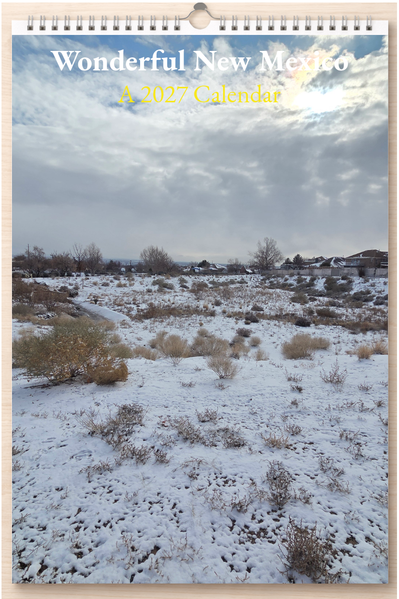 Wonderful New Mexico: A 2027 Calendar