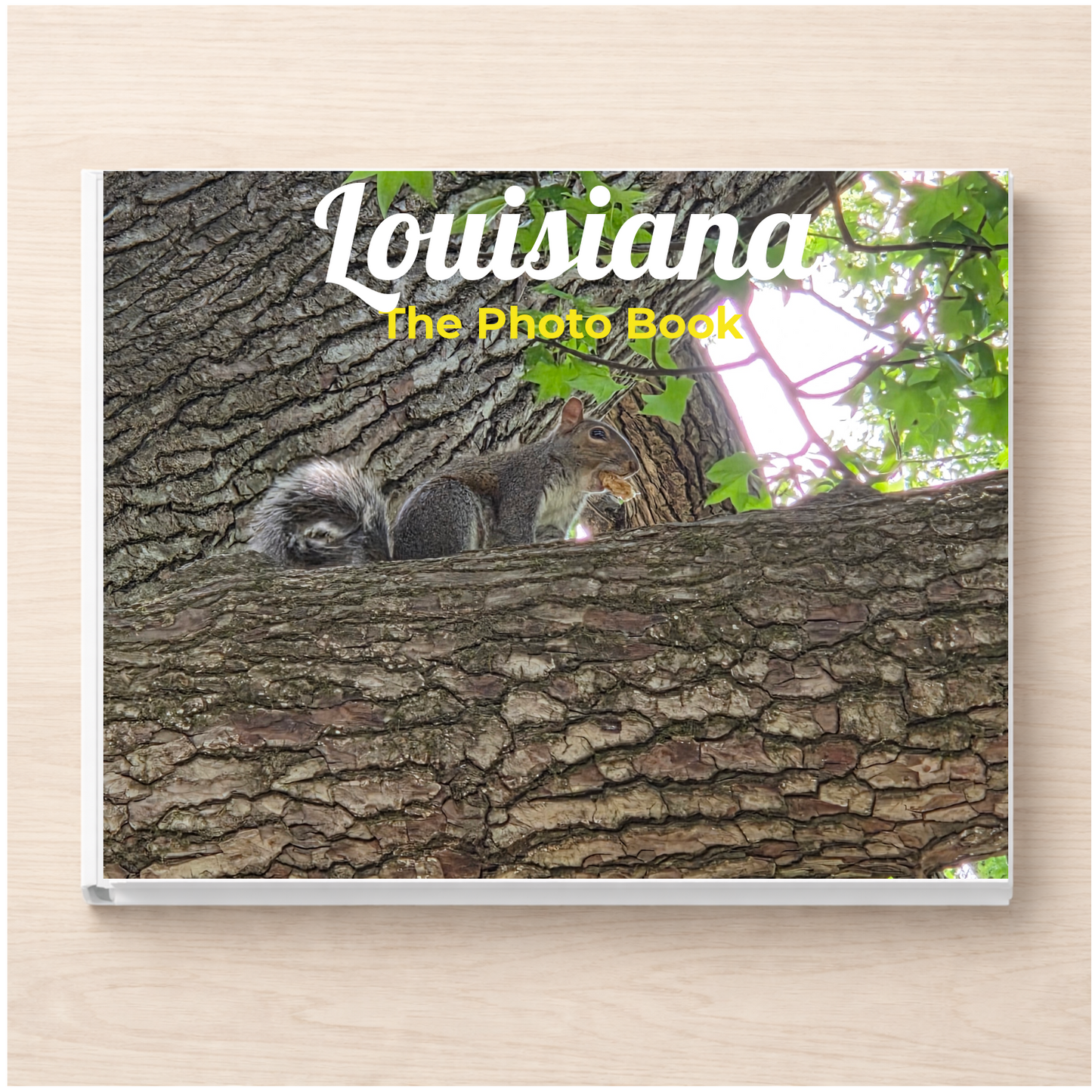 Louisiana: The Photo Book
