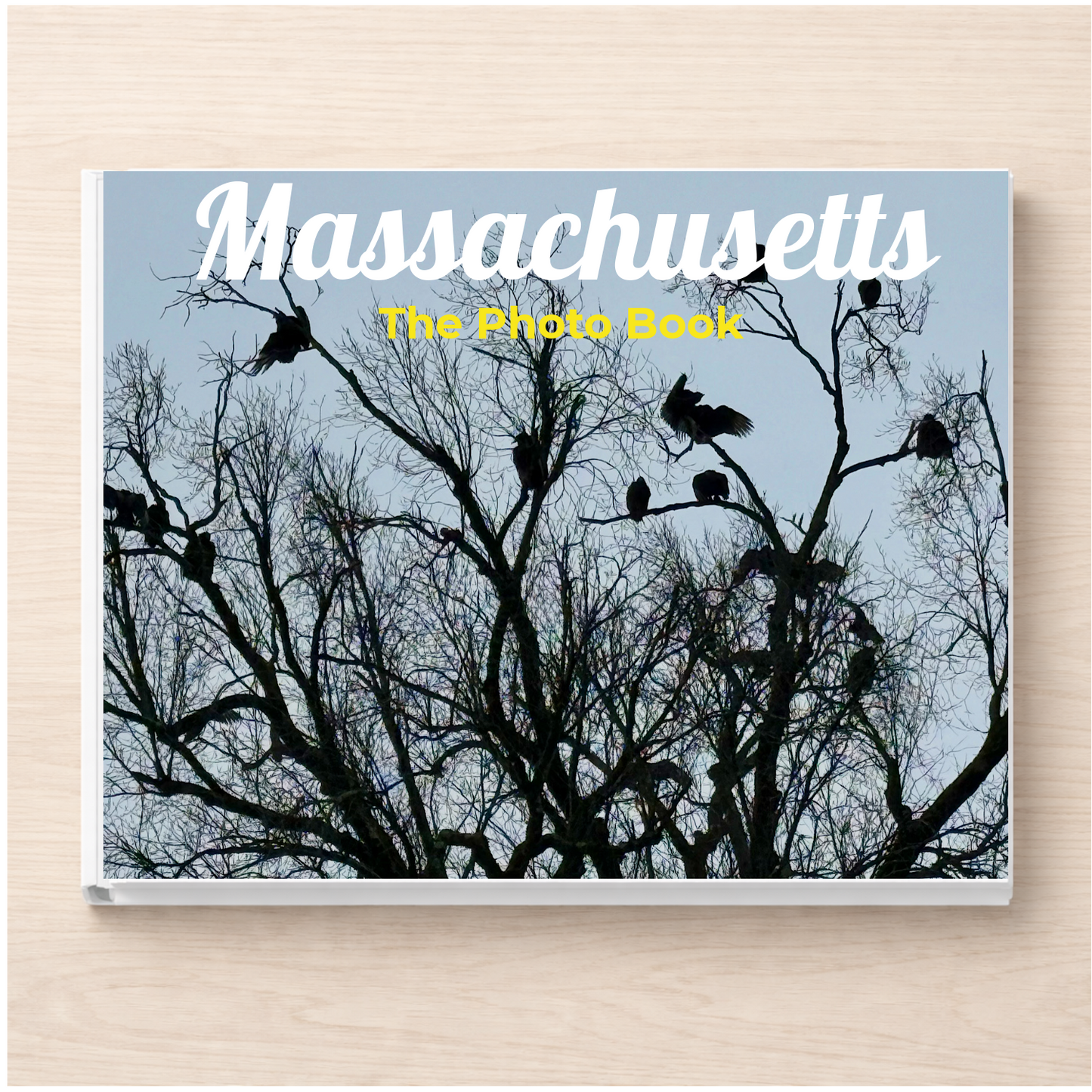 Massachusetts: The Photo Book
