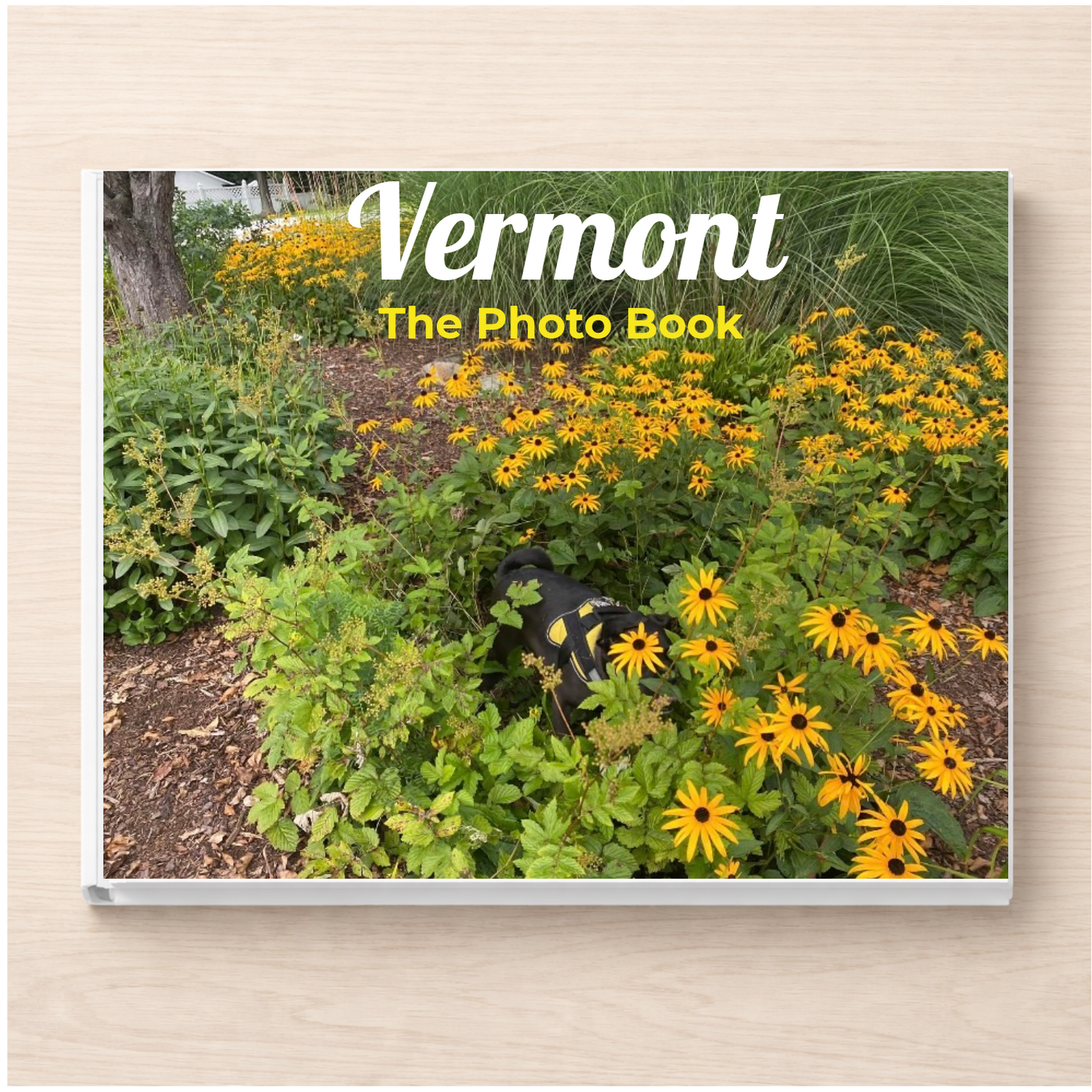 Vermont: The Photo Book