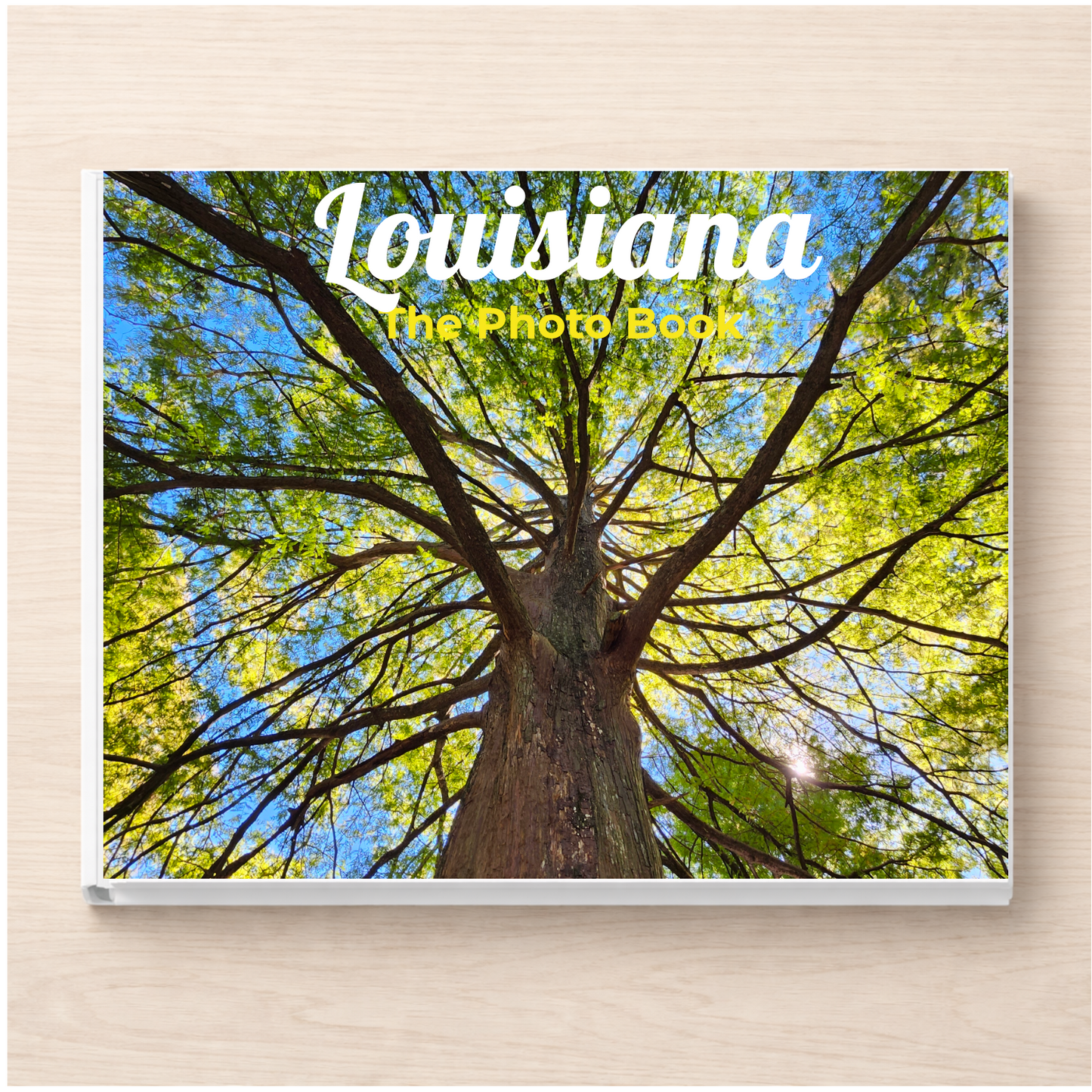 Louisiana: The Photo Book