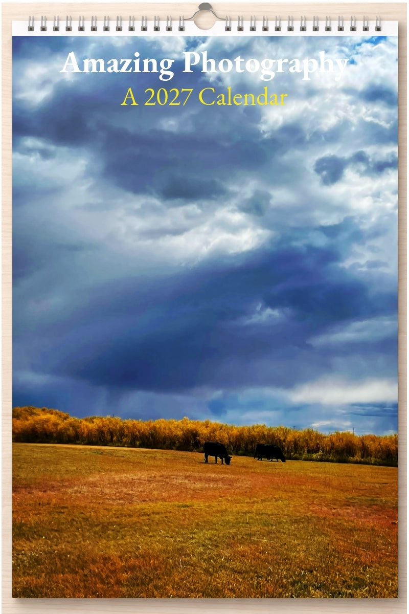 Amazing Photography: A 2027 Calendar
