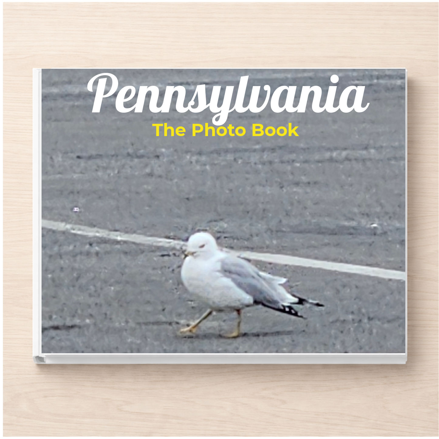 Pennsylvania: The Photo Book