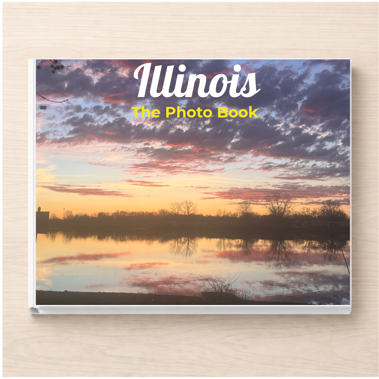 Illinois: The Photo Book