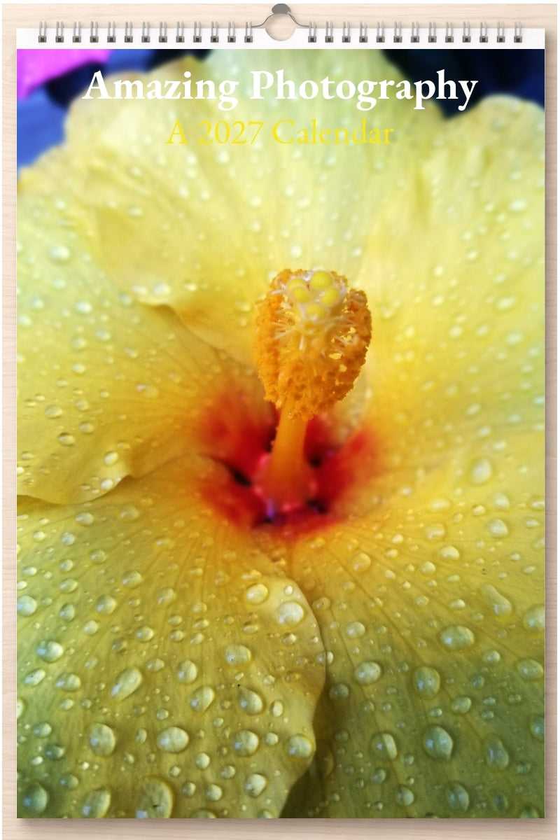 Amazing Photography: A 2027 Calendar