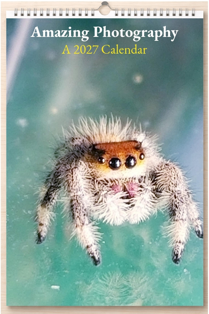 Amazing Photography: A 2027 Calendar