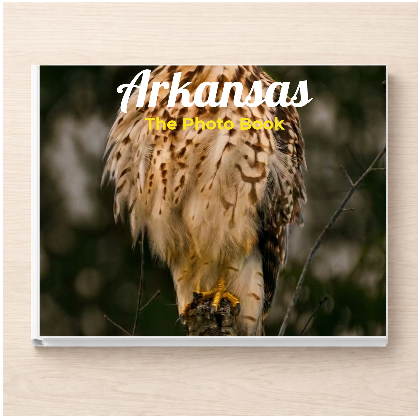 Arkansas: The Photo Book