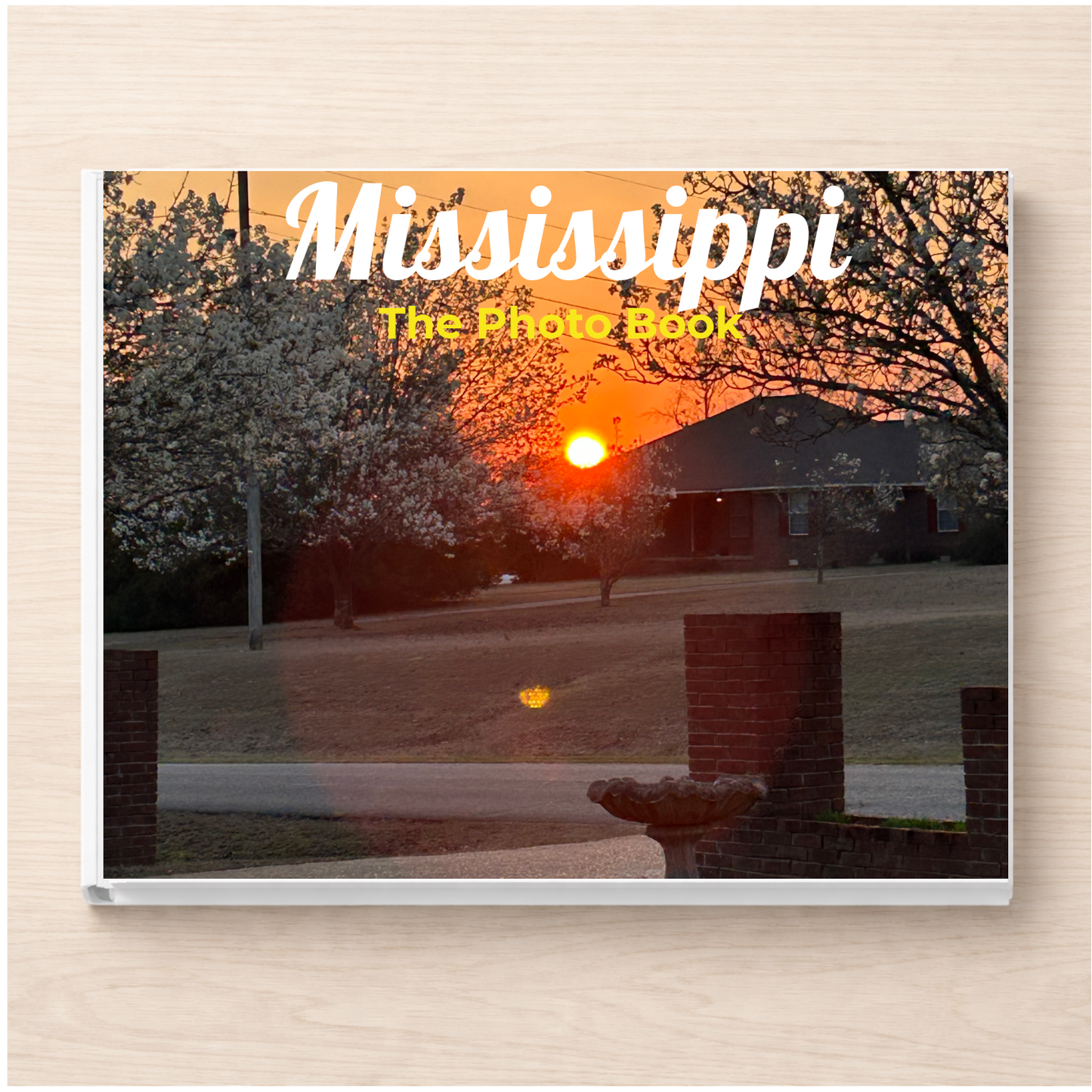 Mississippi: The Photo Book