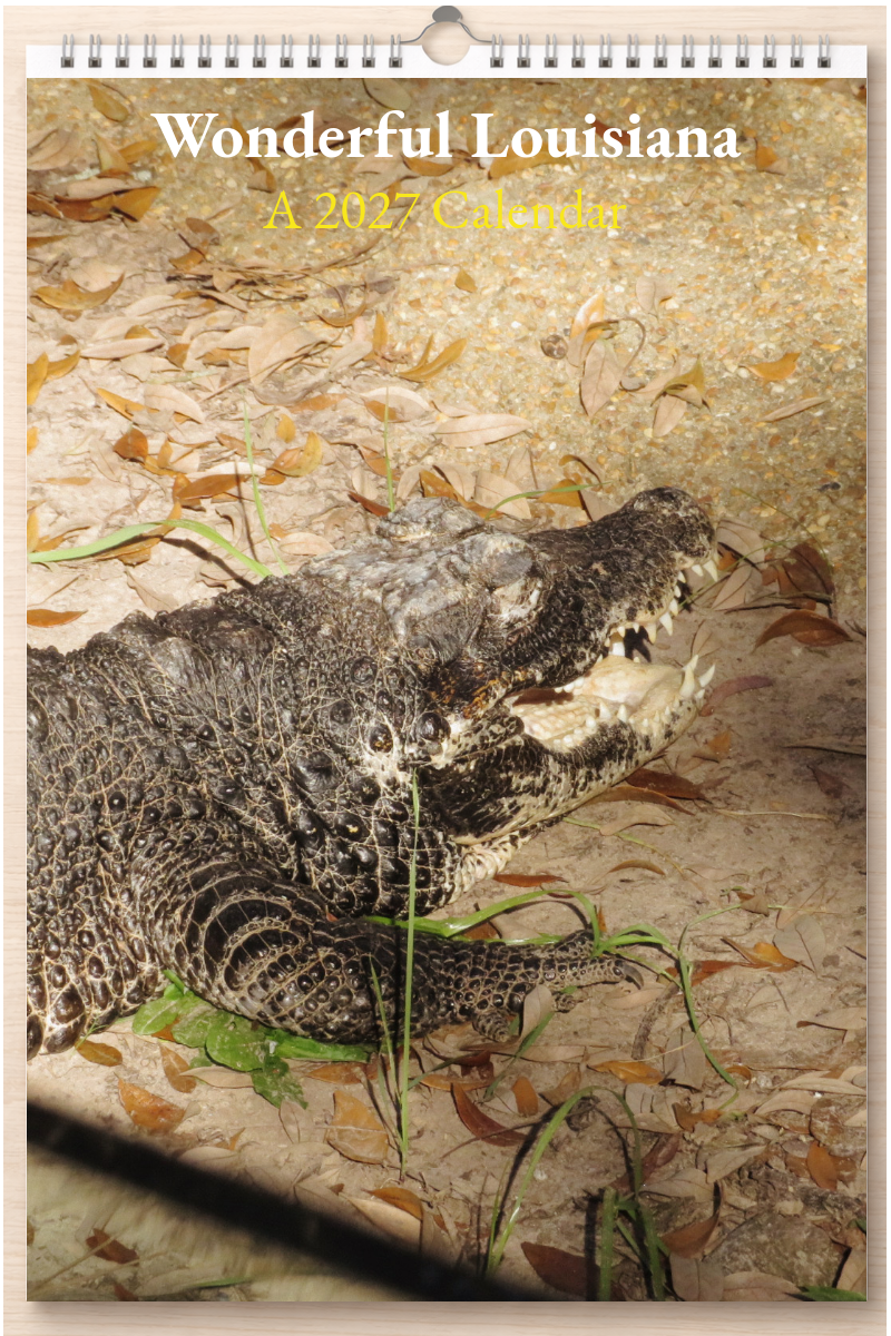 Wonderful Louisiana: A 2027 Calendar
