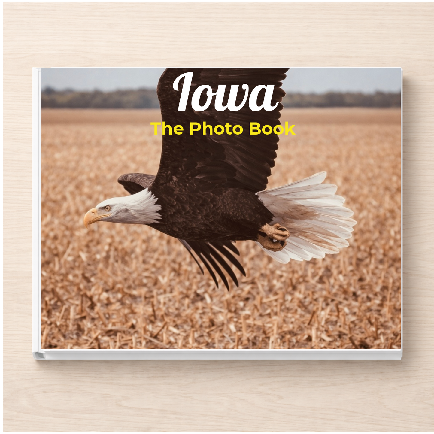 Iowa: The Photo Book