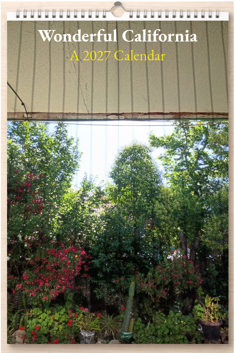 Wonderful California: A 2027 Calendar