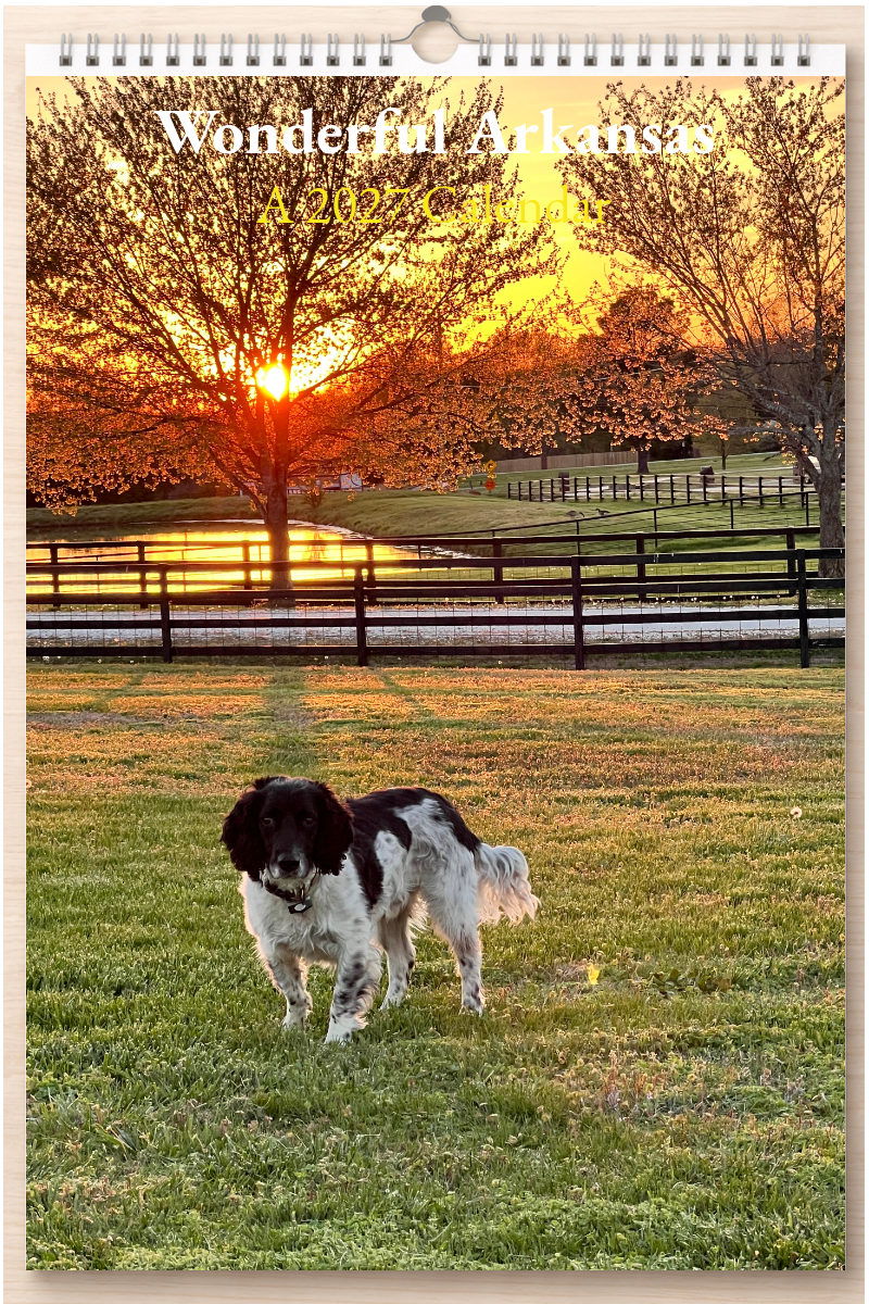 Wonderful Arkansas: A 2027 Calendar