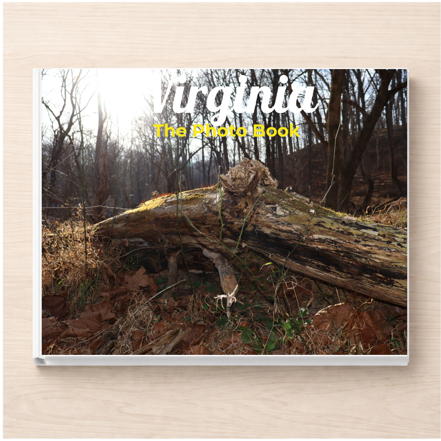 Virginia: The Photo Book