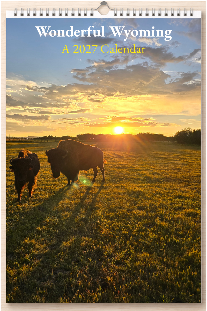 Wonderful Wyoming: A 2027 Calendar