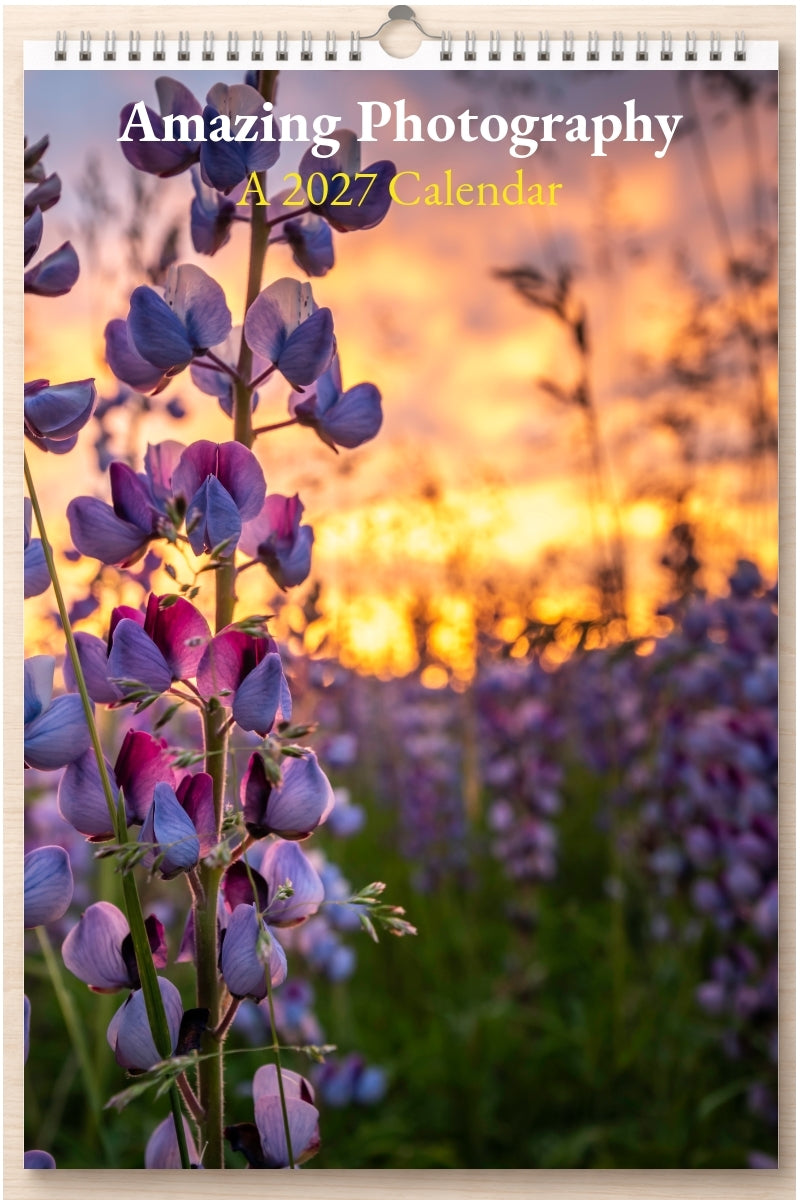 Amazing Photography: A 2027 Calendar