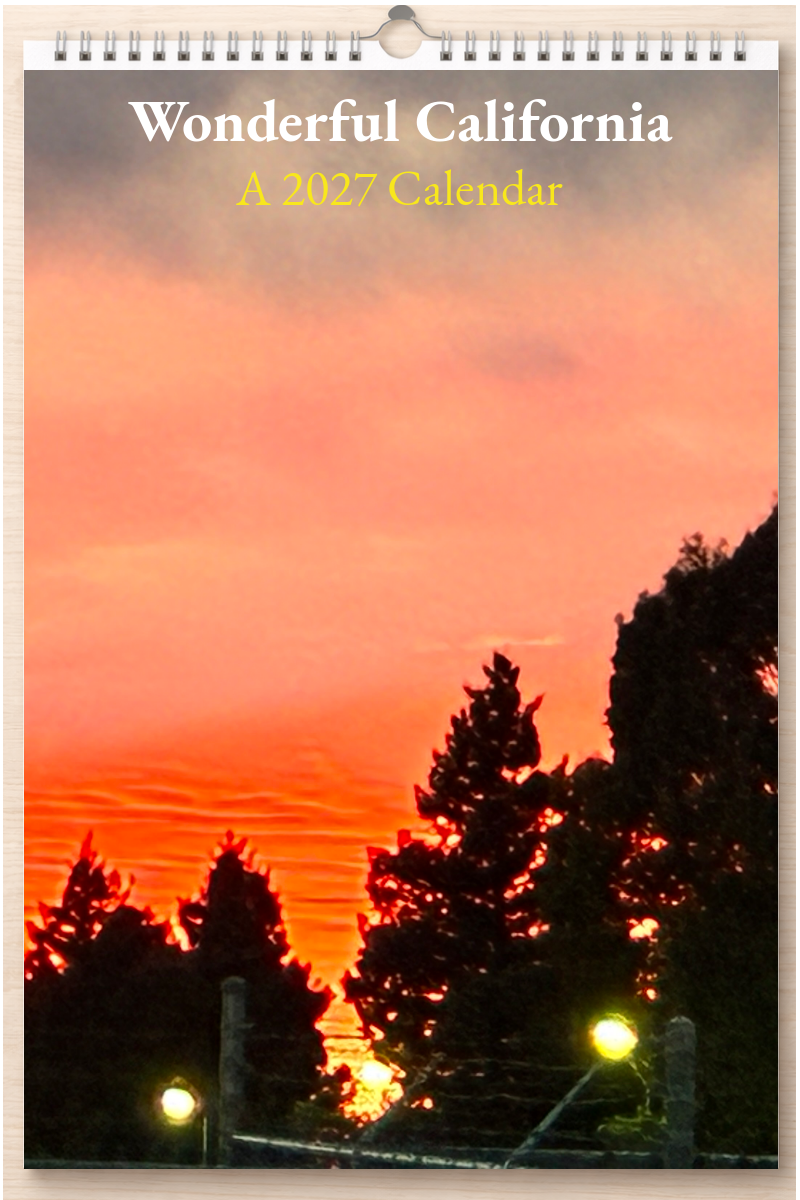 Wonderful California: A 2027 Calendar