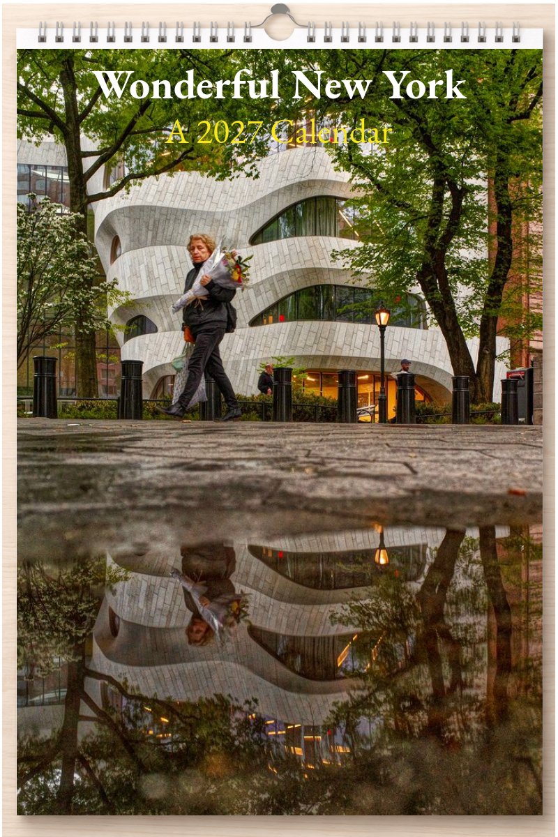 Wonderful New York: A 2027 Calendar
