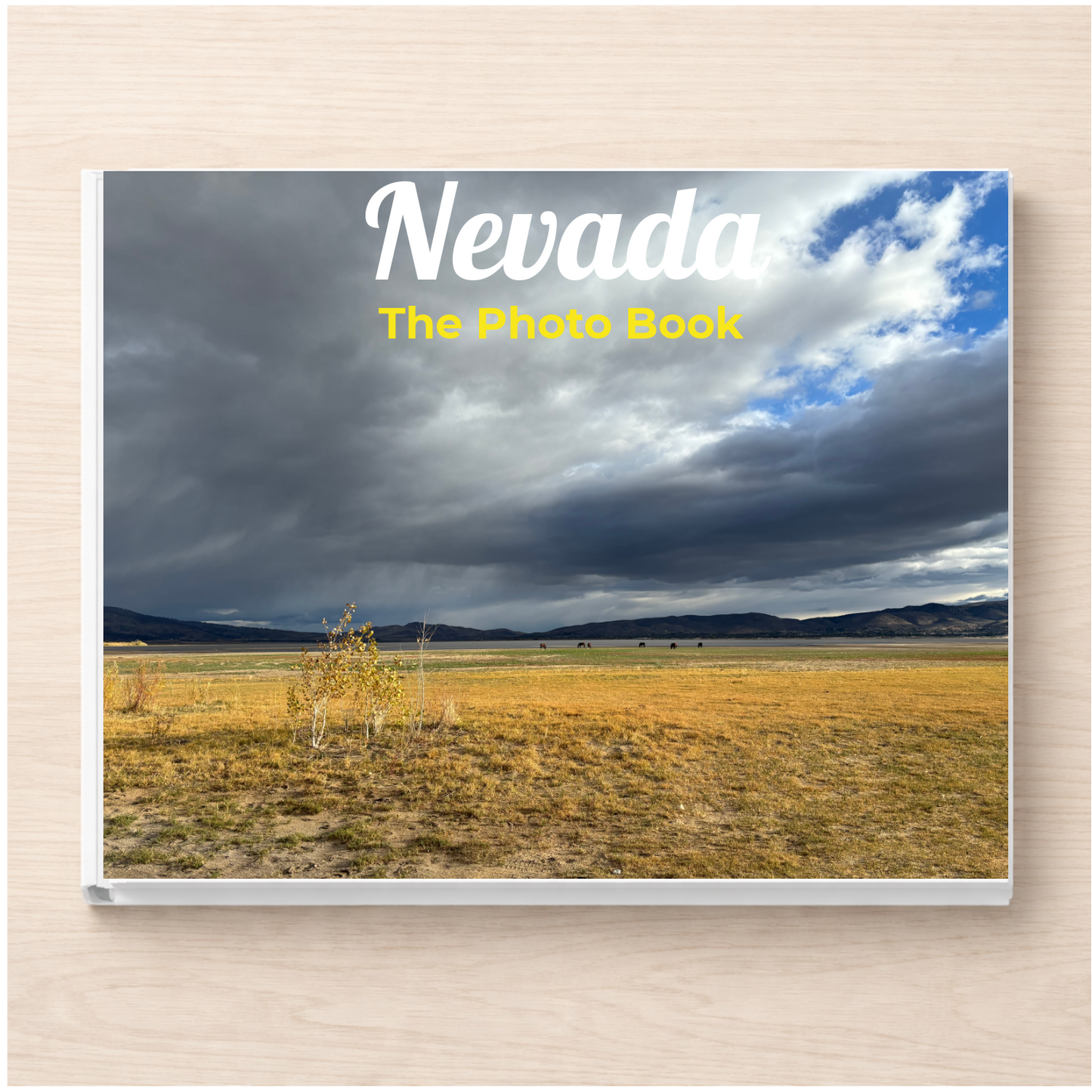 Nevada: The Photo Book