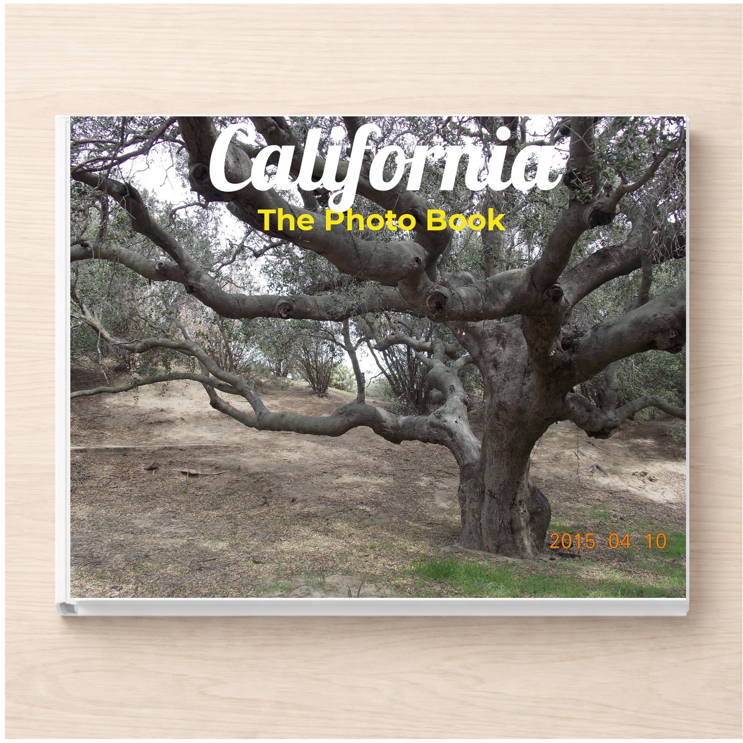 California: The Photo Book