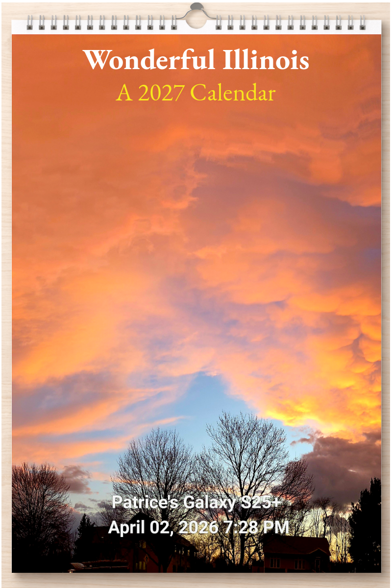 Wonderful Illinois: A 2027 Calendar