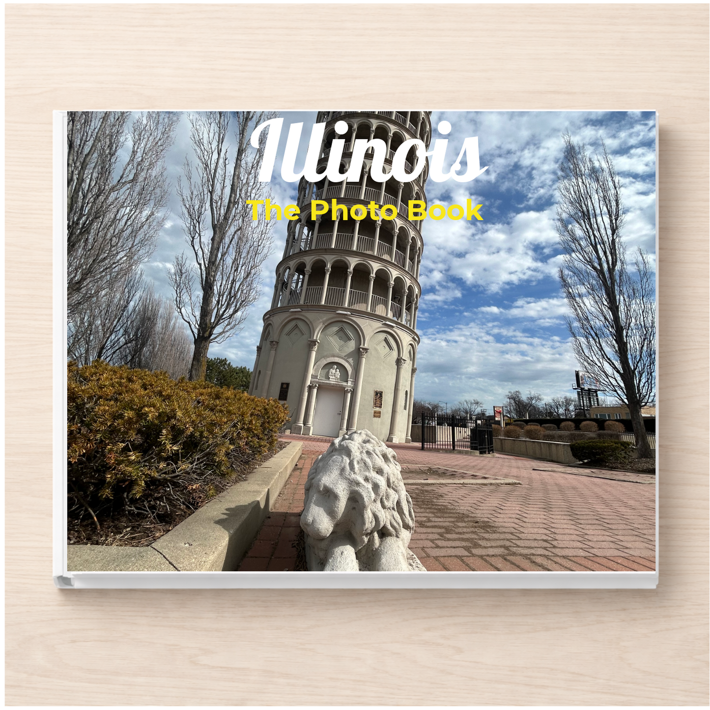 Illinois: The Photo Book