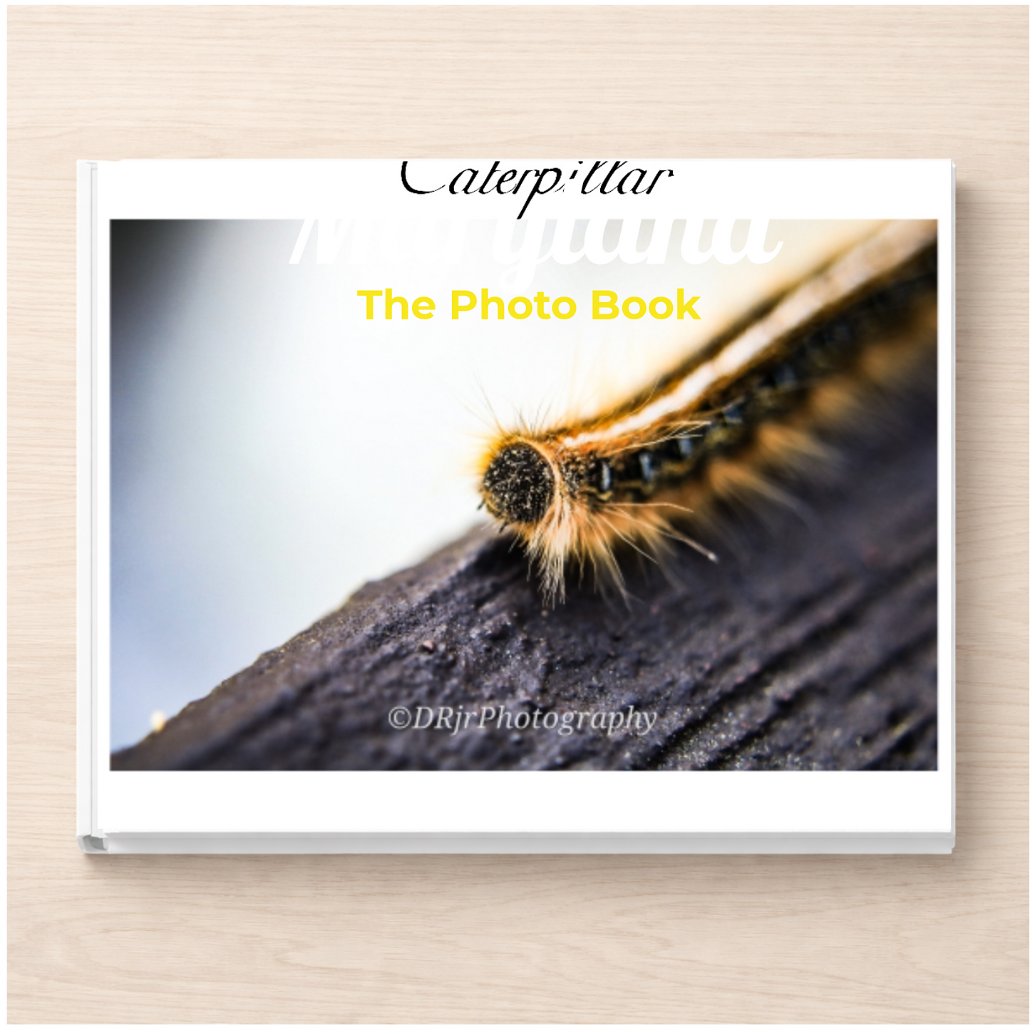 Maryland: The Photo Book
