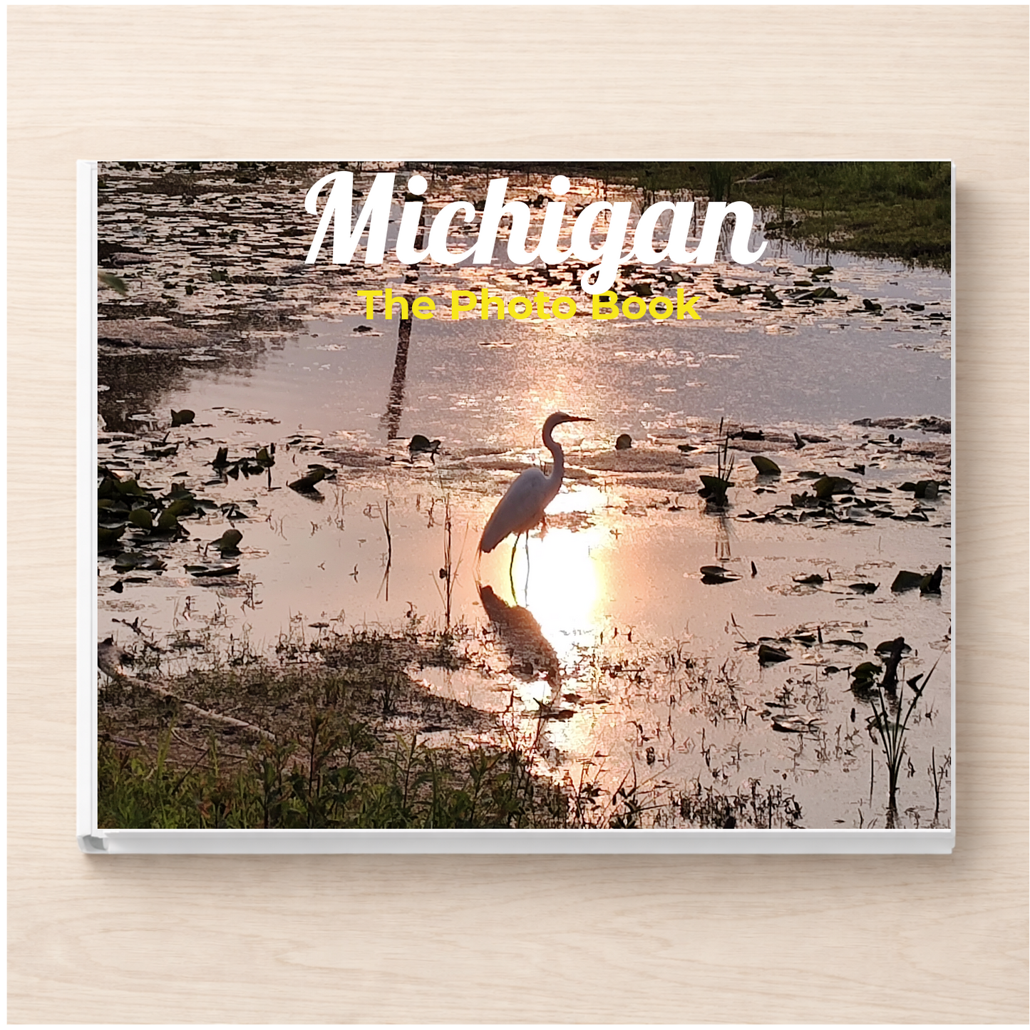 Michigan: The Photo Book