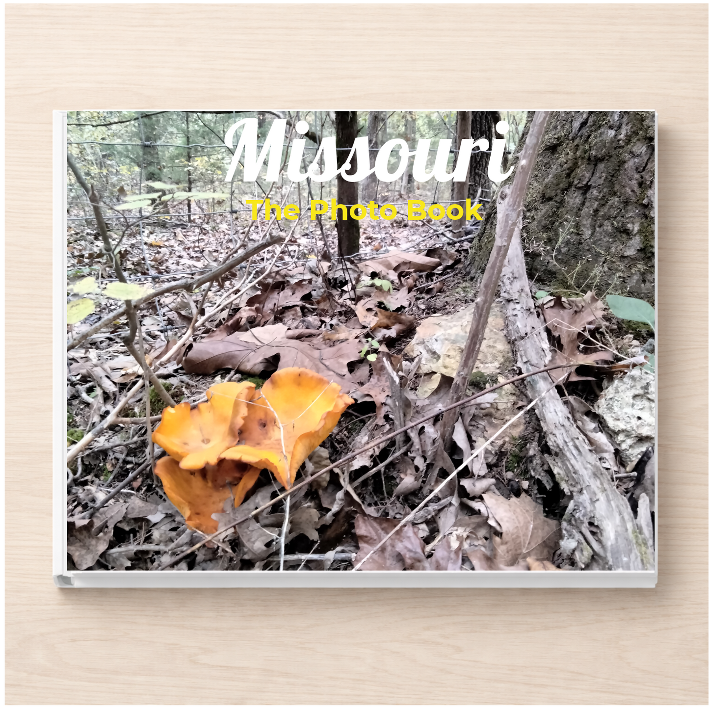 Missouri: The Photo Book
