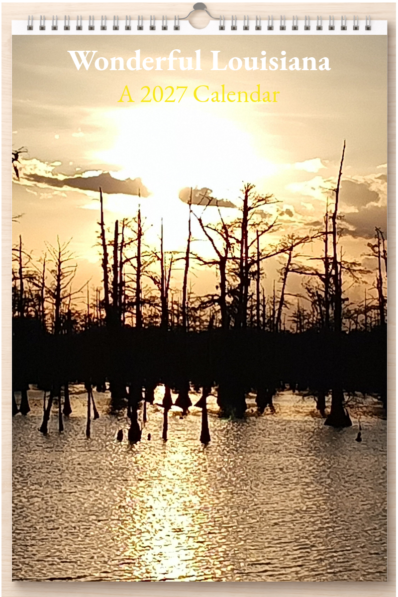 Wonderful Louisiana: A 2027 Calendar