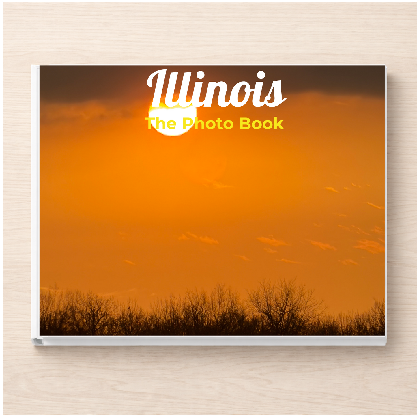 Illinois: The Photo Book