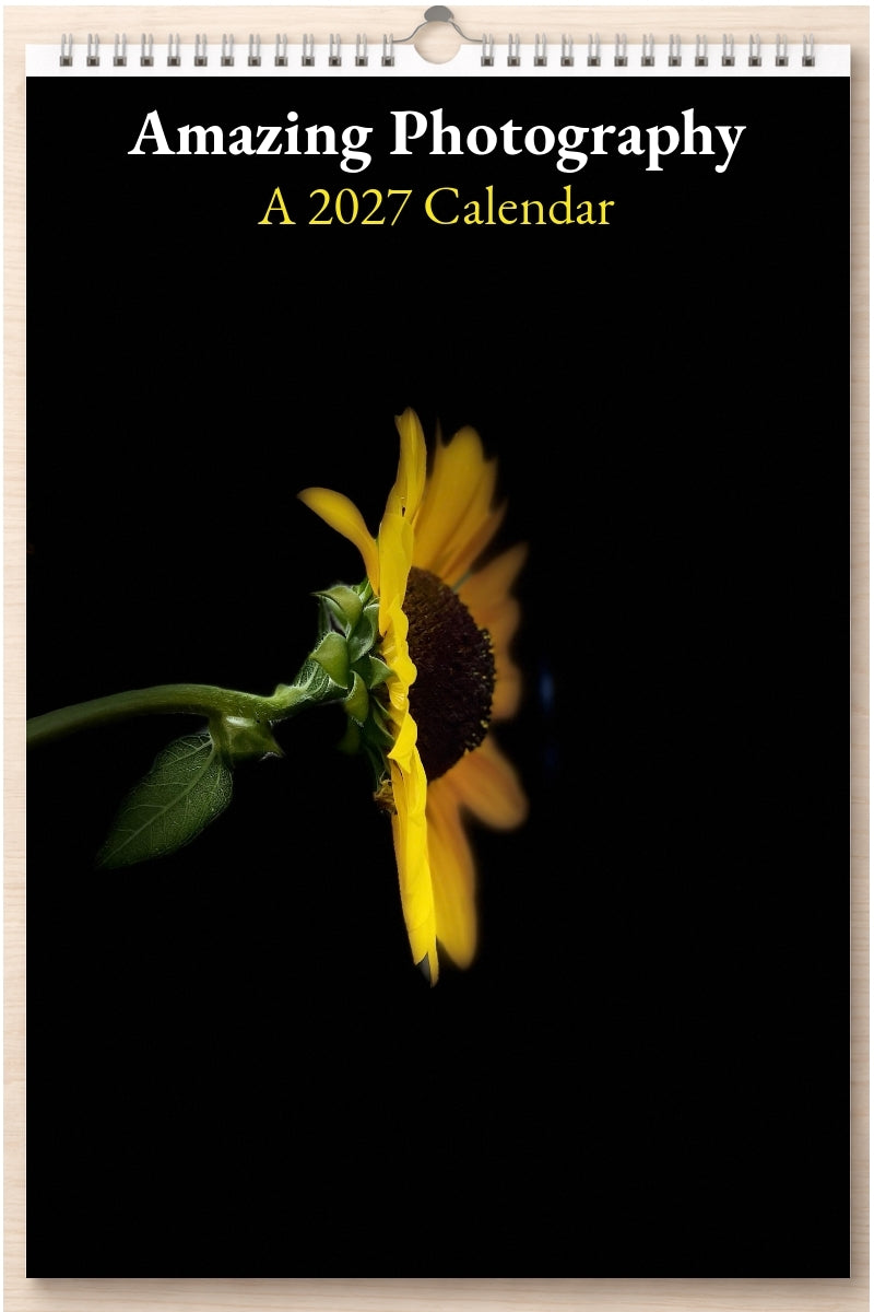 Amazing Photography: A 2027 Calendar