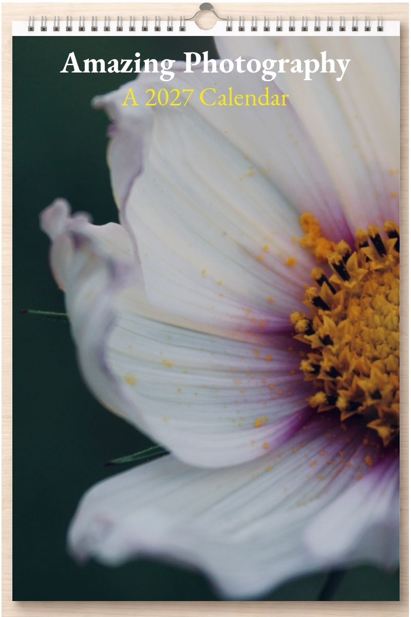 Amazing Photography: A 2027 Calendar