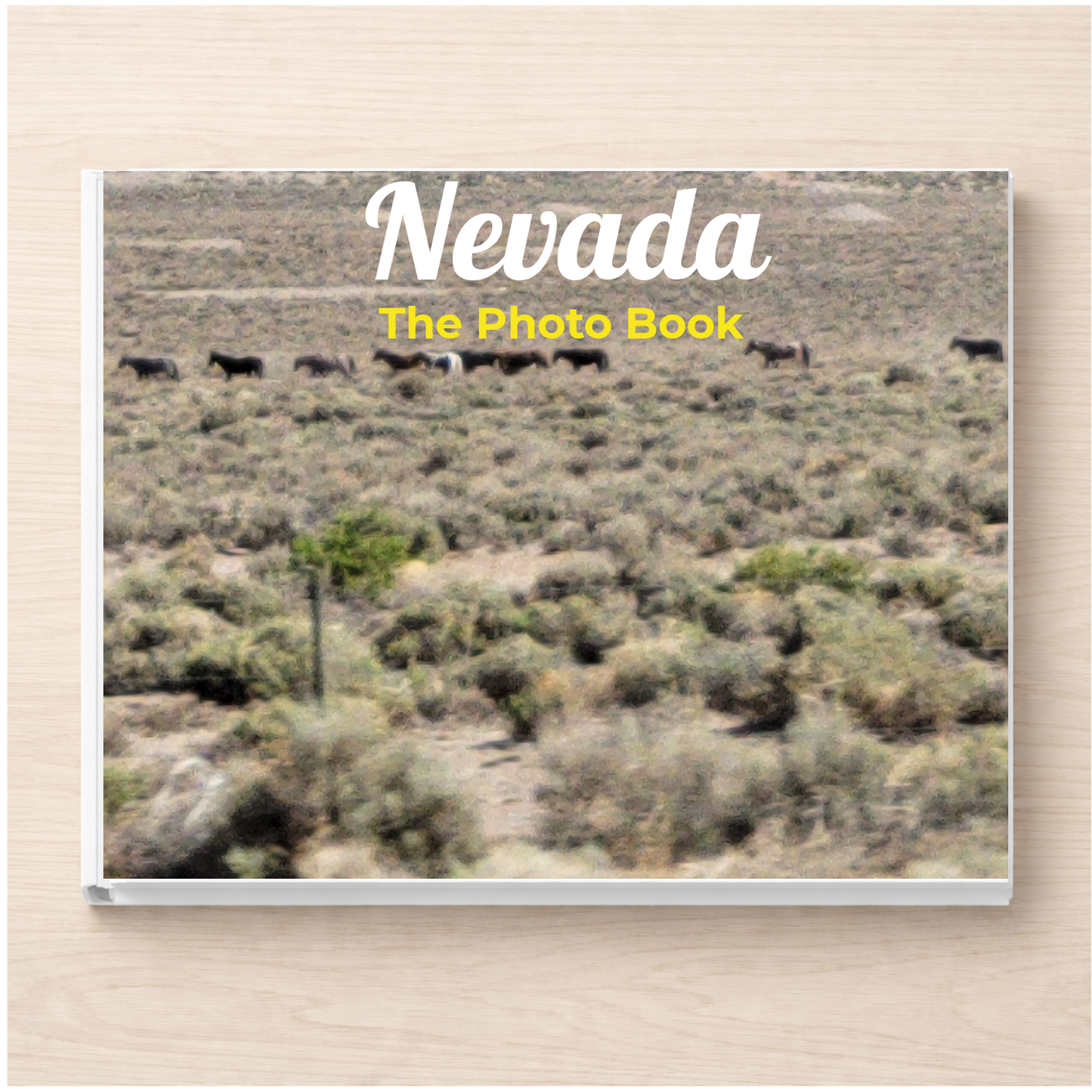 Nevada: The Photo Book