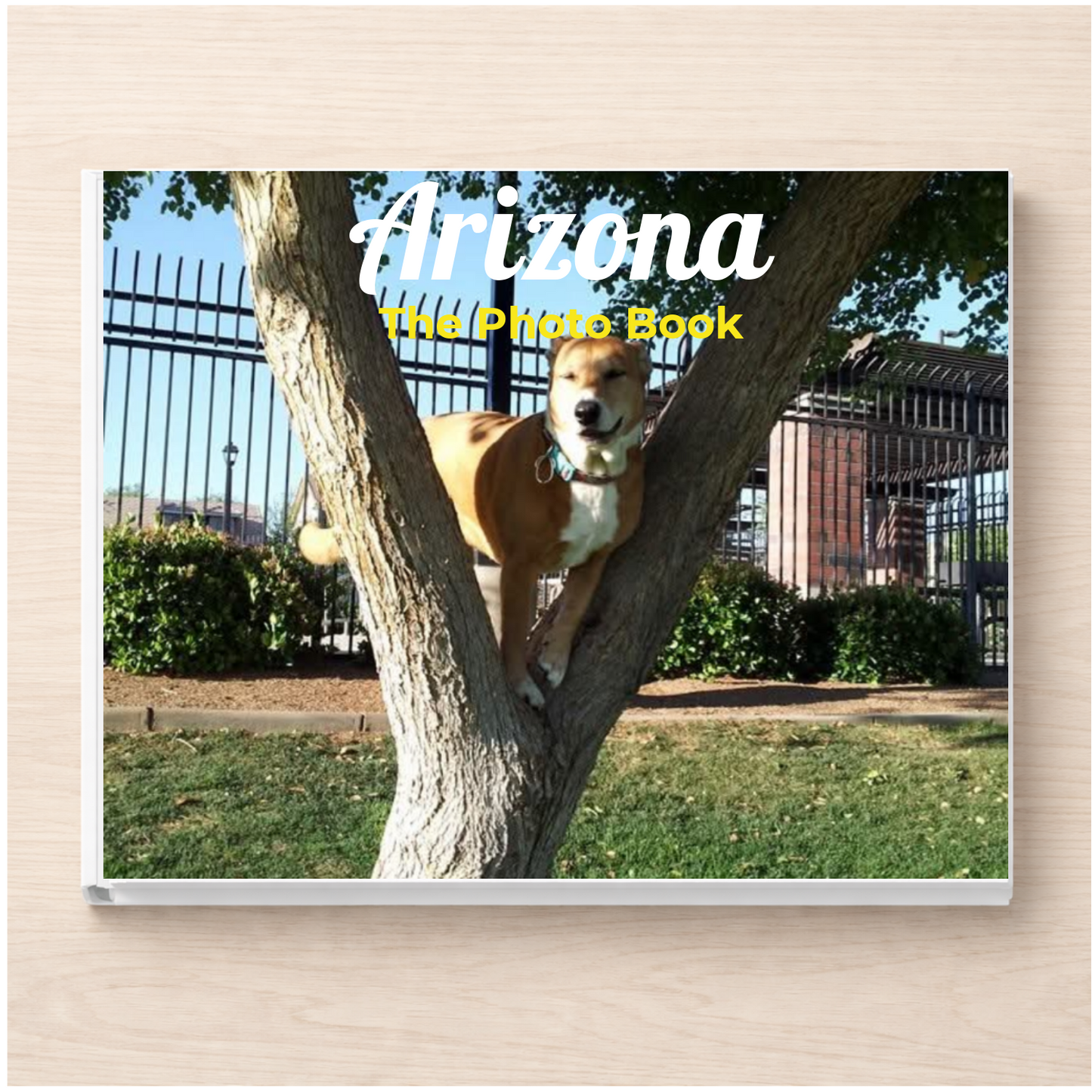 Arizona: The Photo Book