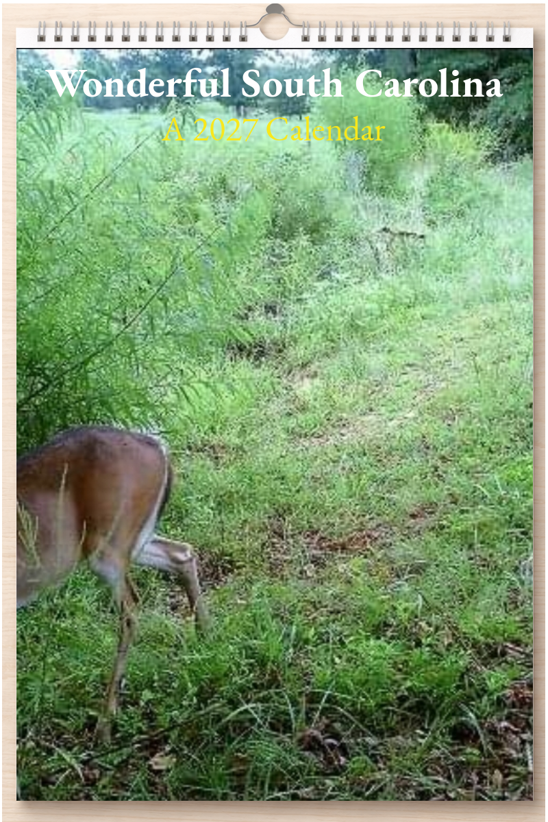 Wonderful South Carolina: A 2027 Calendar