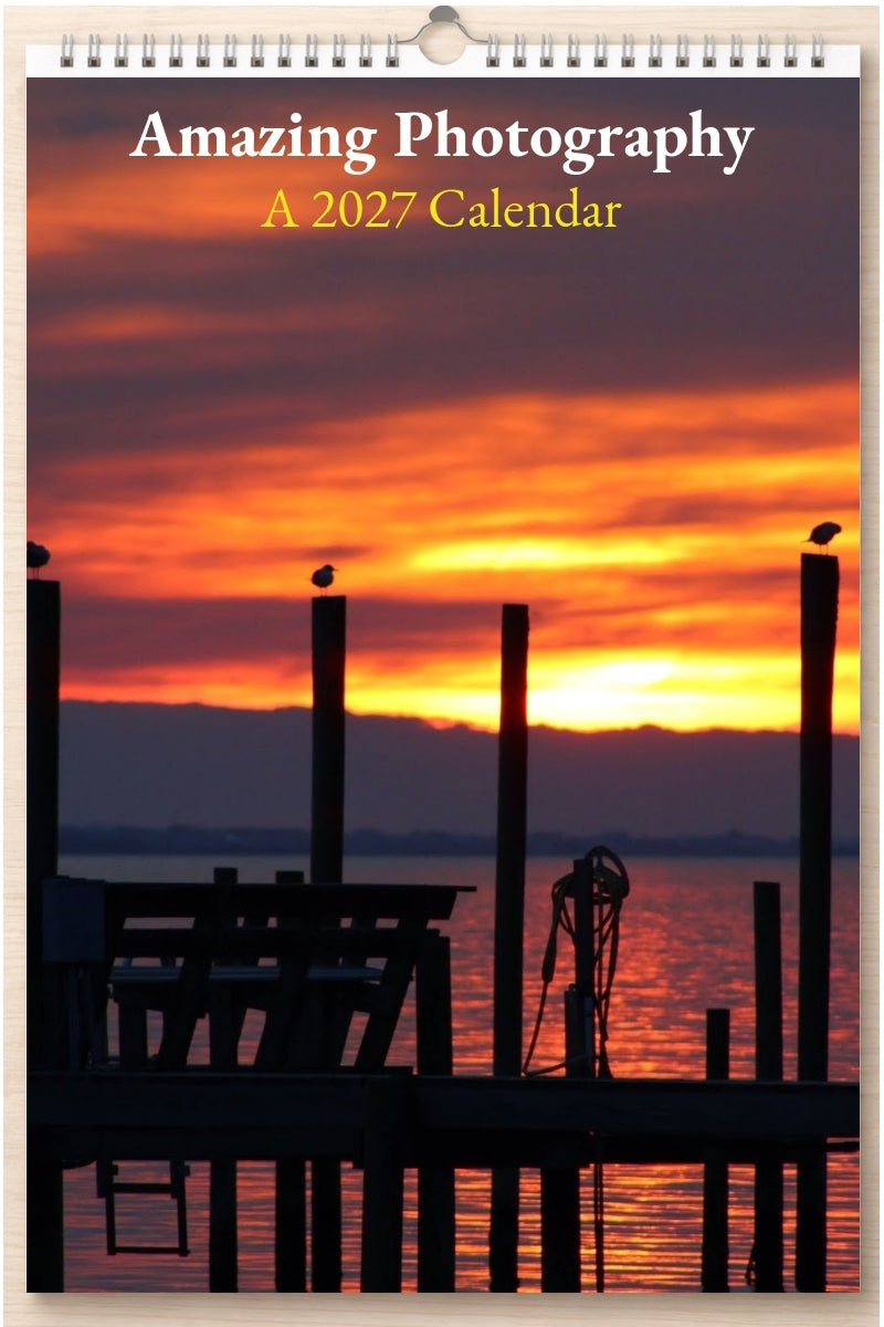 Amazing Photography: A 2027 Calendar