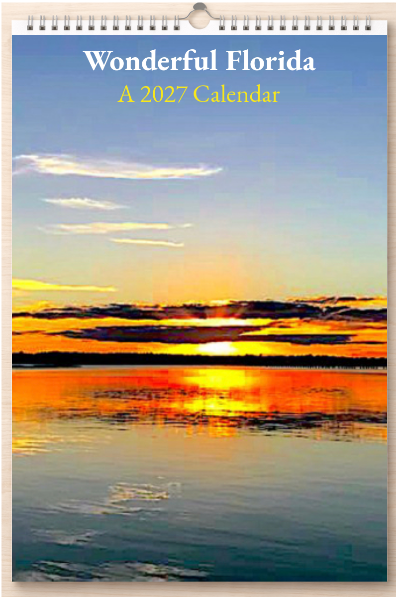 Wonderful Florida: A 2027 Calendar