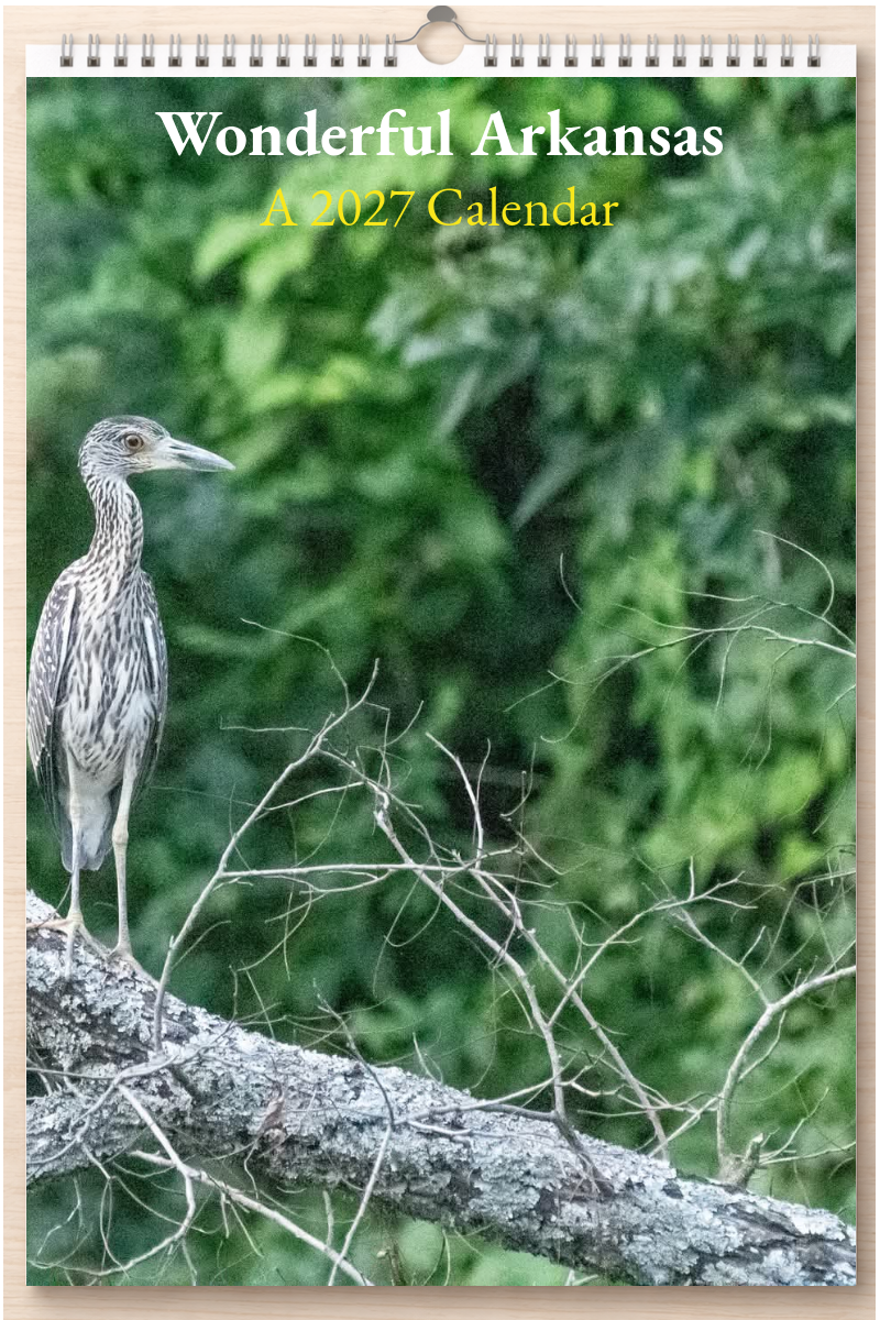 Wonderful Arkansas: A 2027 Calendar