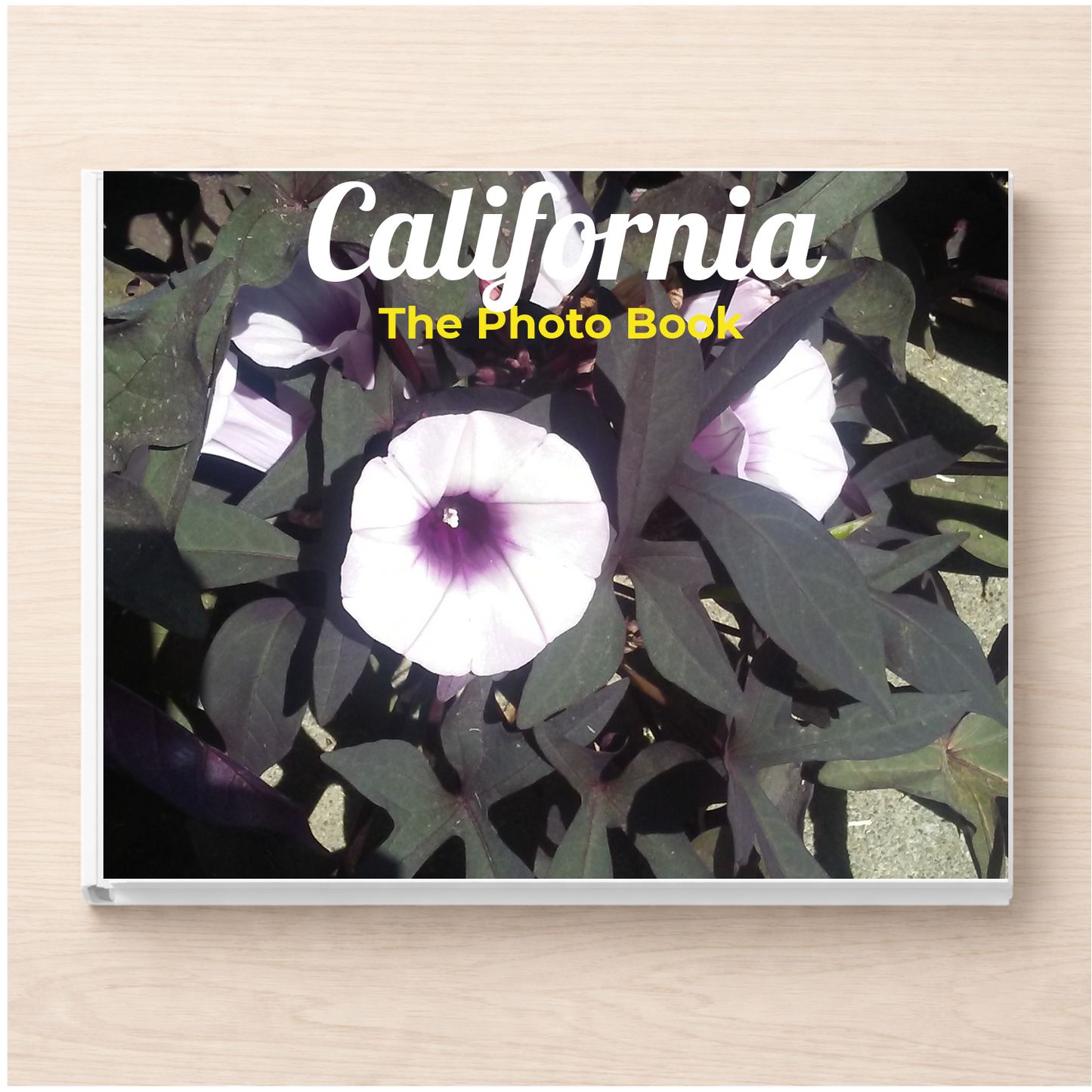 California: The Photo Book