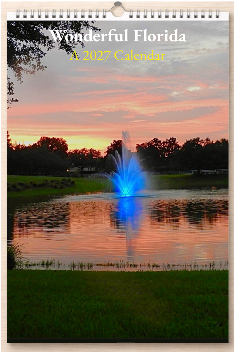 Wonderful Florida: A 2027 Calendar
