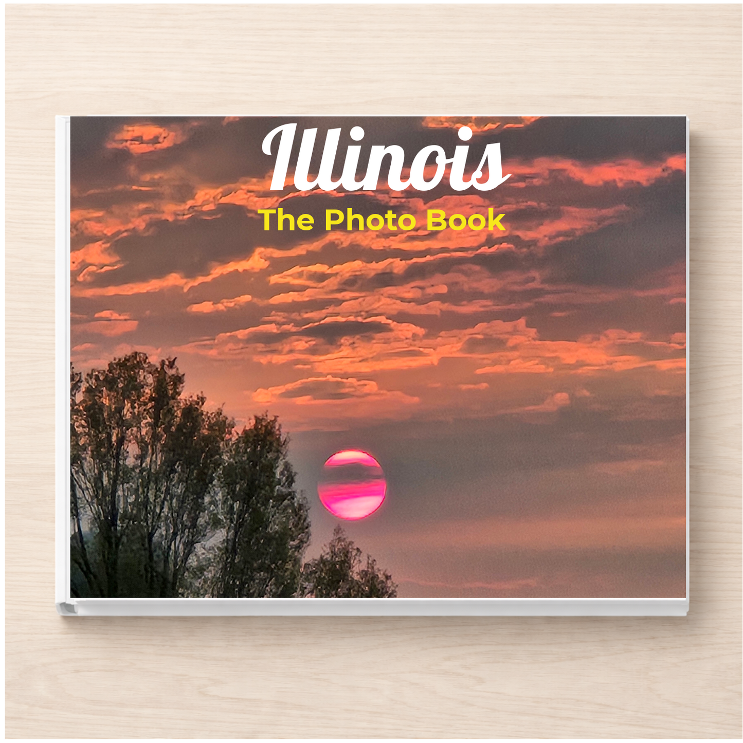 Illinois: The Photo Book