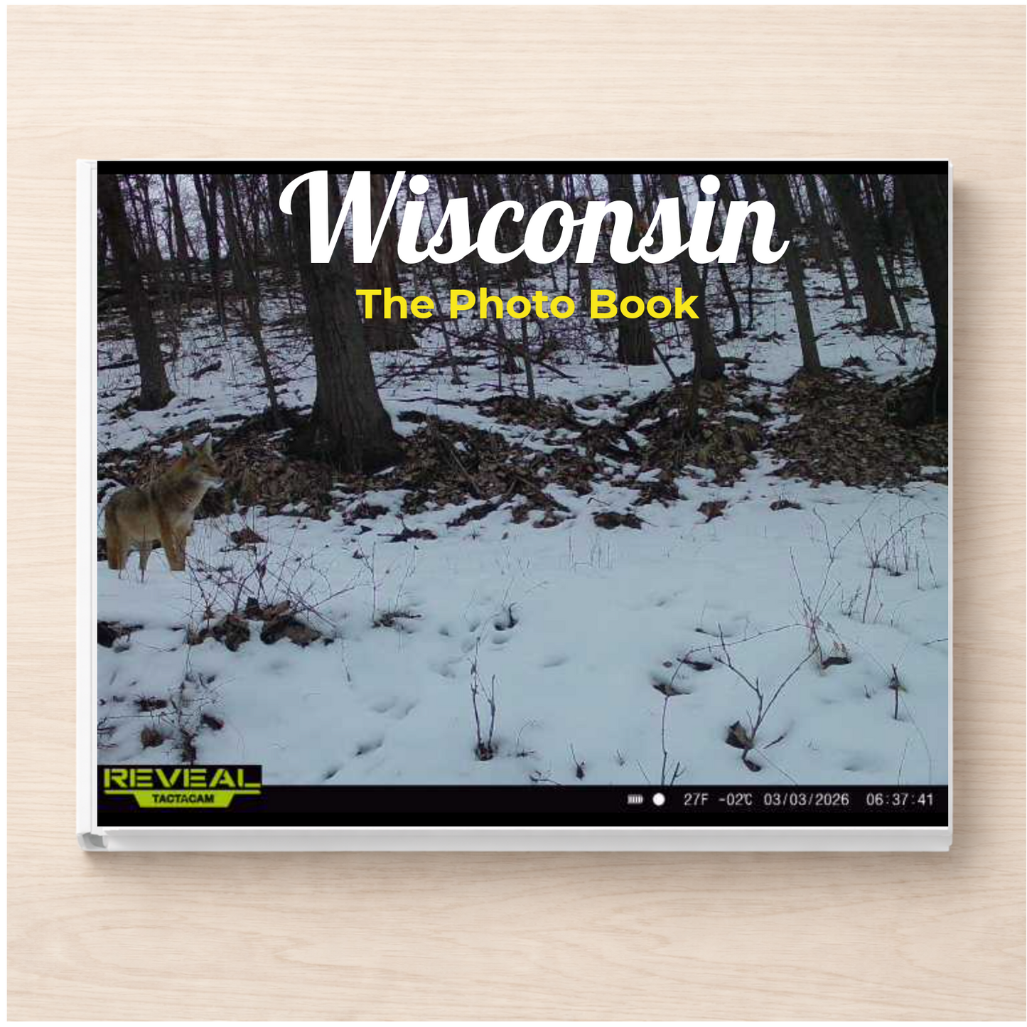 Wisconsin: The Photo Book