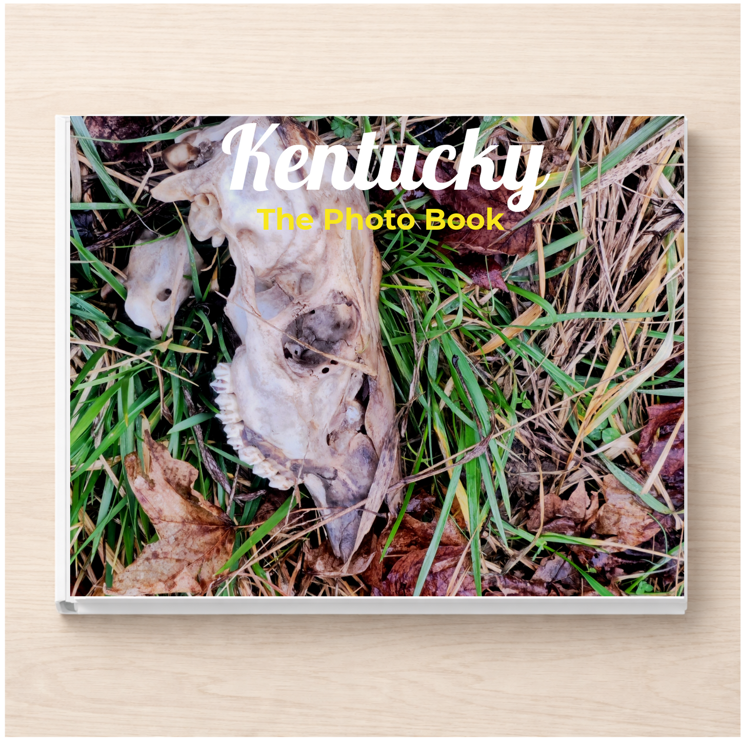 Kentucky: The Photo Book
