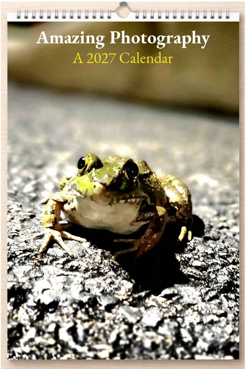 Amazing Photography: A 2027 Calendar