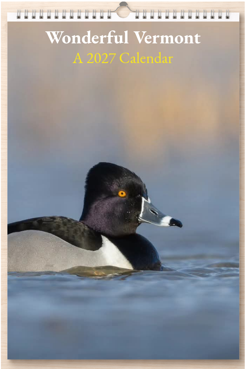 Wonderful Vermont: A 2027 Calendar