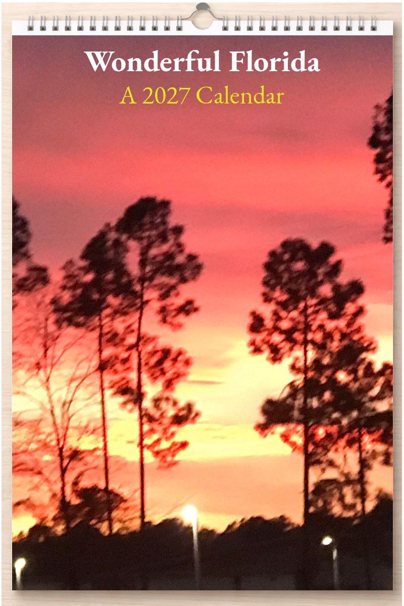 Wonderful Florida: A 2027 Calendar